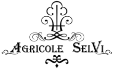 agricole selvi logo